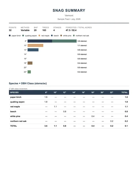 First page of a sample Snags report